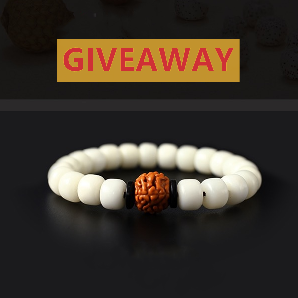 7e3199fe-92e1-4cc3-95f1-f47cff80bf7f_1024x1024_2x_3c54b5d2-c957-44df-a19d-c8e6e05e5016 Stars And Moon Bodhi Seed Bracelet